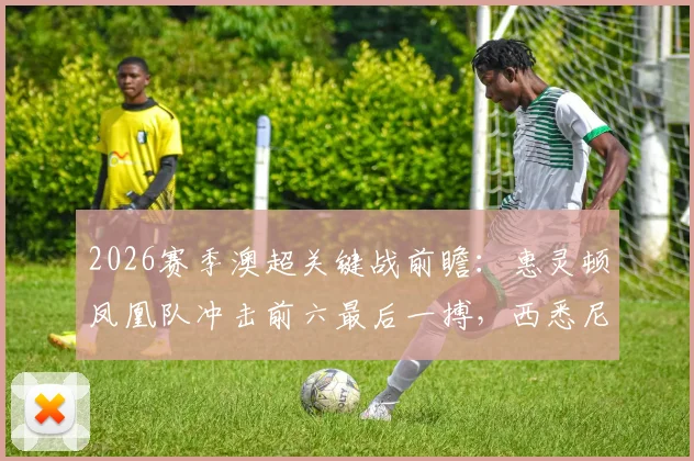 2026赛季澳超关键战前瞻：惠灵顿凤凰队冲击前六最后一搏，西悉尼流浪者全力避免联赛垫底